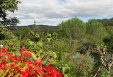 Vue depuis la terrasse